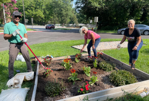 planting flowers