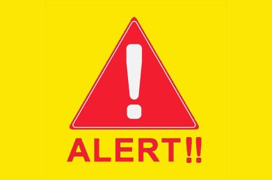 alert